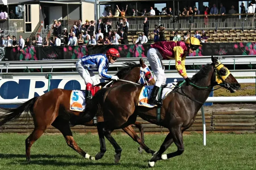 Oolio Pay Blog-cup day 3